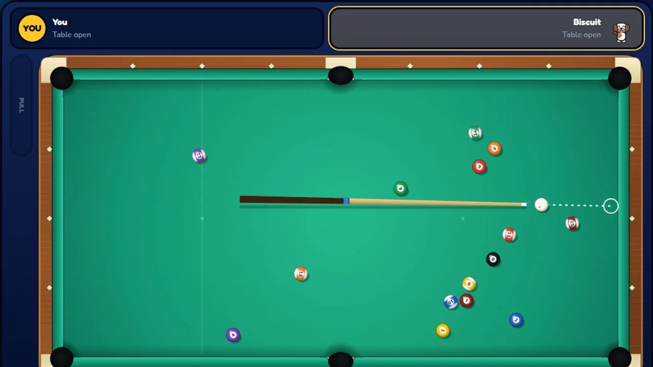 Pool Pals during play